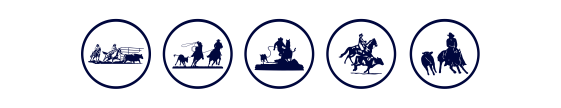 Categoria