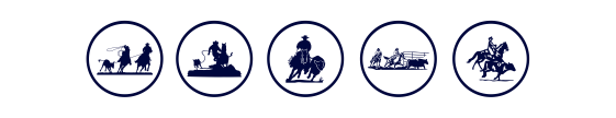 Categoria