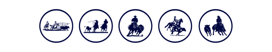 Categoria