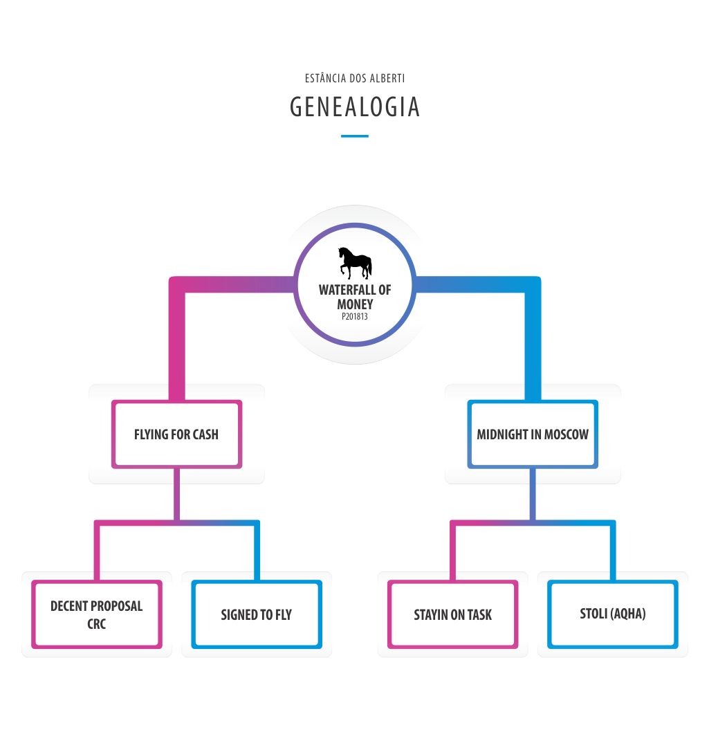 Genealogia Waterfall of Money